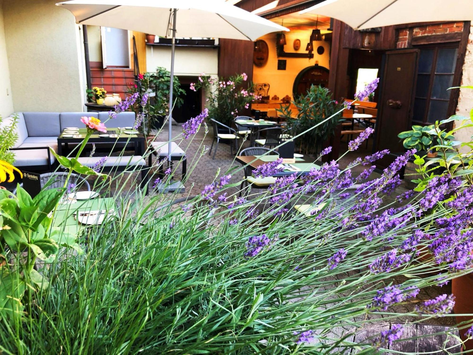 Appartements 'In Vino Veritas' Haslach im Kinzigtal Esterno foto