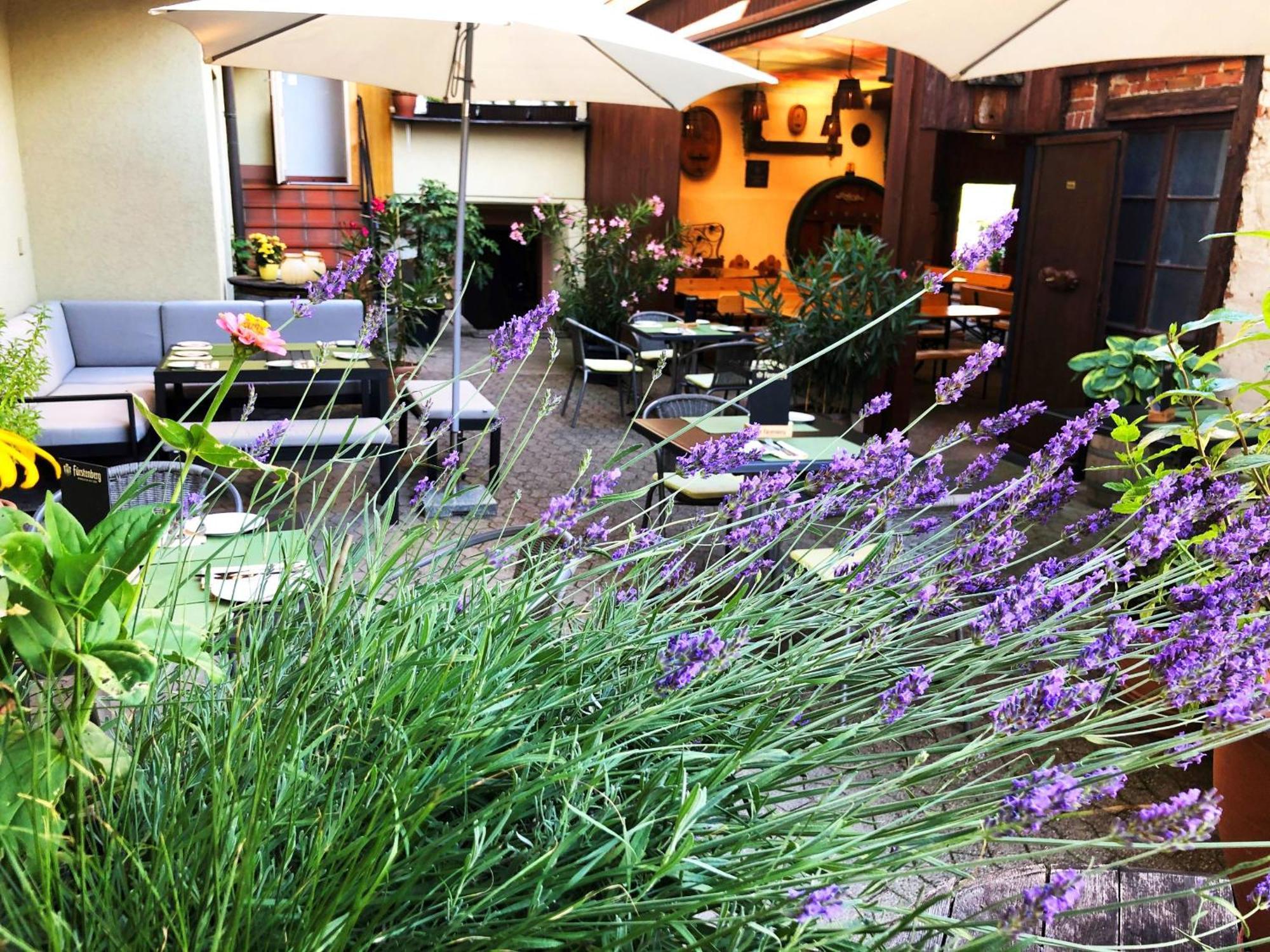 Appartements 'In Vino Veritas' Haslach im Kinzigtal Esterno foto